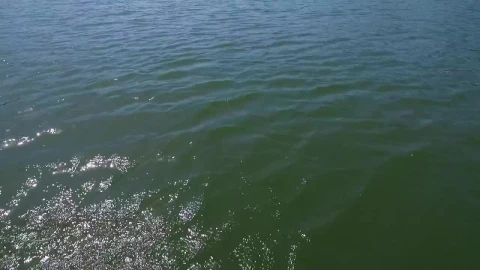Stock Video Drone Flying Low Across A Lake Live Wallpaper For PC - Free Live Wallpaper