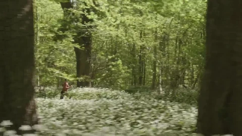 Stock Video Drone Chasing A Runner Live Wallpaper For PC - Free Live Wallpaper