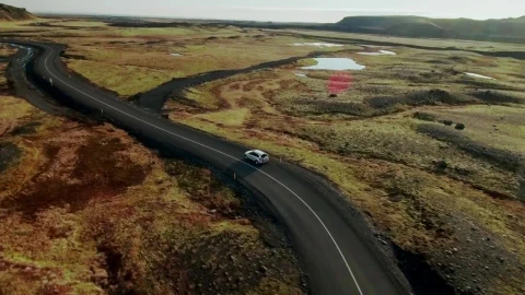 Stock Video Driving Through Moss Covered Fields Live Wallpaper For PC - Free Live Wallpaper
