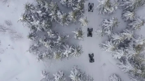 Stock Video Driving Through A Snowy Forest Live Wallpaper For PC - Free Live Wallpaper