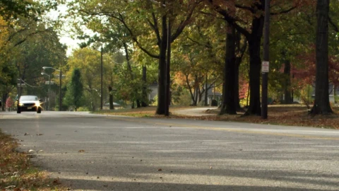 Stock Video Driving In The Autumn Live Wallpaper For PC - Free Live Wallpaper