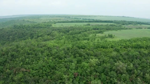Stock Video Done Flying Above Wilderness Live Wallpaper For PC - Free Live Wallpaper