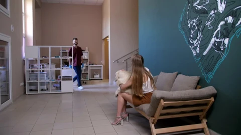 Stock Video Dog Visiting A Vet Live Wallpaper For PC - Free Live Wallpaper