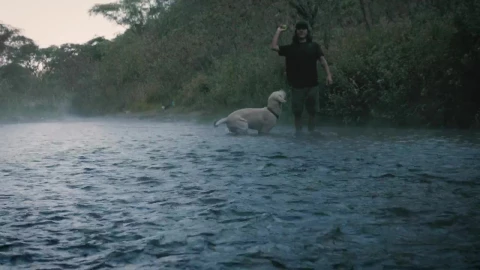 Stock Video Dog And Owner Playing With A Ball In A Creek Live Wallpaper For PC - Free Live Wallpaper