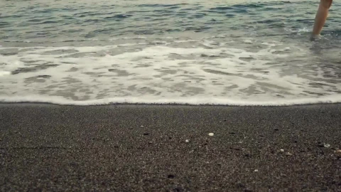 Stock Video Dog And Its Owners On The Seashore Live Wallpaper For PC - Free Live Wallpaper