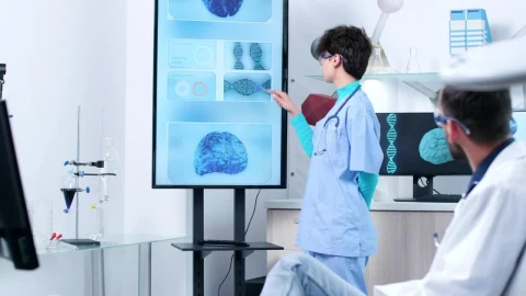 Stock Video Doctors In Futuristic Lab Discuss D Brain Models Live Wallpaper For PC - Free Live Wallpaper