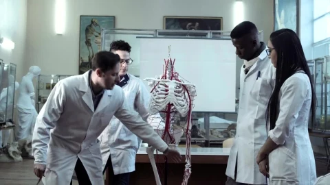 Stock Video Doctor Students In The Classroom Live Wallpaper For PC - Free Live Wallpaper