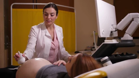 Stock Video Doctor Conducting An Ultrasound Live Wallpaper For PC - Free Live Wallpaper