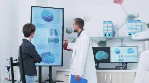 Stock Video Doctor And Scientist Look At D Brain Models In Modern Live Wallpaper For PC - Free Live Wallpaper