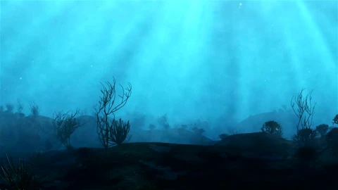 Stock Video Diving Through A Reef Live Wallpaper For PC - Free Live Wallpaper