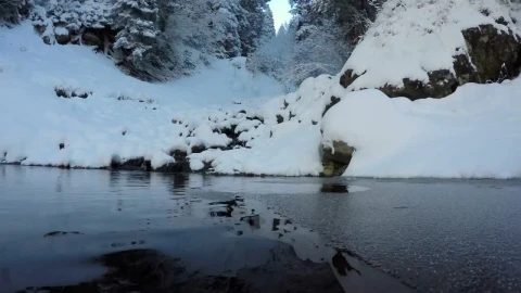 Stock Video Diving In A Winter Forest Lake Live Wallpaper For PC - Free Live Wallpaper