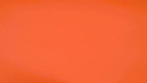 Stock Video Dividing Money In Three Parts Live Wallpaper For PC - Free Live Wallpaper