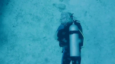 Stock Video Diver Under The Water Live Wallpaper For PC - Free Live Wallpaper