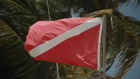 Stock Video Diver Flag Blowing In The Wind Live Wallpaper For PC - Free Live Wallpaper
