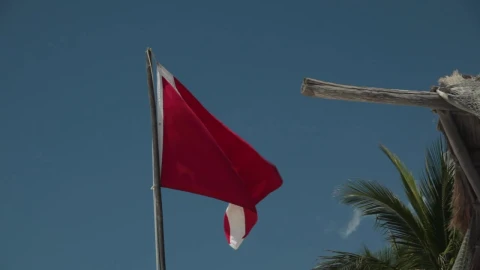Stock Video Diver Safety Flag Live Wallpaper For PC - Free Live Wallpaper