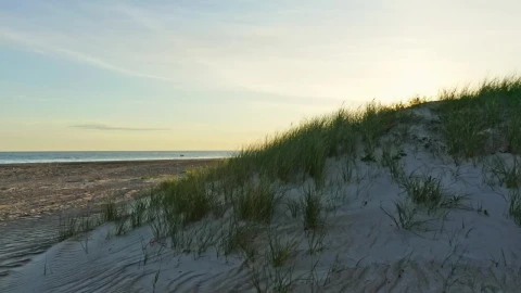 Stock Video Distant Man At The Beach Live Wallpaper For PC - Free Live Wallpaper