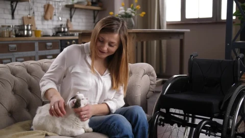 Stock Video Disabled Woman Petting A Cat Live Wallpaper For PC - Free Live Wallpaper