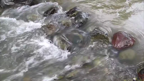 Stock Video Dirty Stream Flowing Over Pebbles Live Wallpaper For PC - Free Live Wallpaper