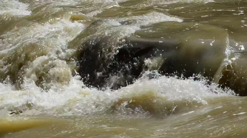 Stock Video Dirty River Water Live Wallpaper For PC - Free Live Wallpaper
