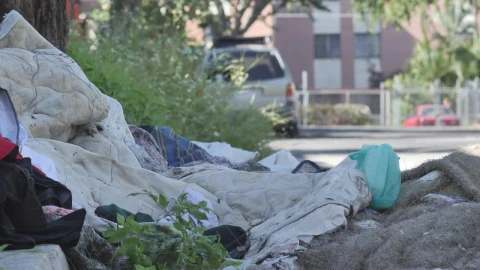 Stock Video Dirty And Damaged Fabrics Thrown In The Street Live Wallpaper For PC - Free Live Wallpaper