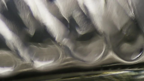 Stock Video Diffused Light Shapes In Motion Live Wallpaper For PC - Free Live Wallpaper