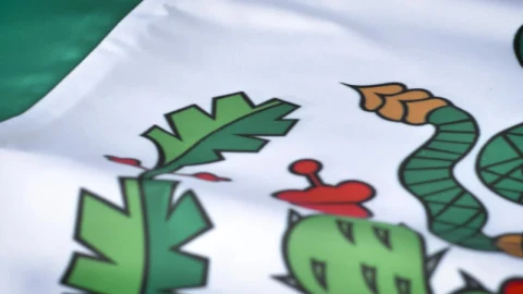 Stock Video Detailed View To The Flag Of Mexico Live Wallpaper For PC - Free Live Wallpaper