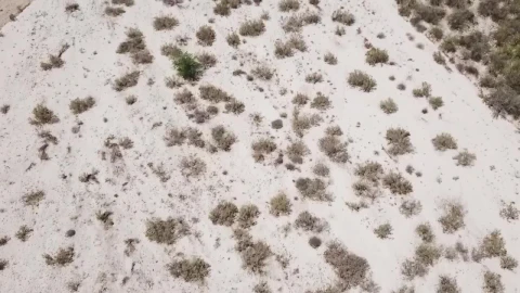 Stock Video Desert Sands From Above Live Wallpaper For PC - Free Live Wallpaper