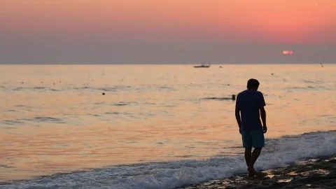 Stock Video Depressed Man In The Seashore At Sunset Live Wallpaper For PC - Free Live Wallpaper