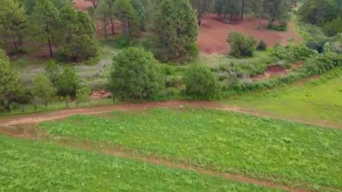 Stock Video Mixkit Flying Over A Field In A Large Forest Covered With Smal Live Wallpaper For PC - Free Live Wallpaper