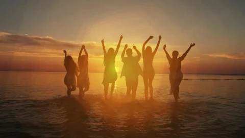 Stock Video Friends Enjoying Sunset On The Seashore Live Wallpaper For PC - Free Live Wallpaper