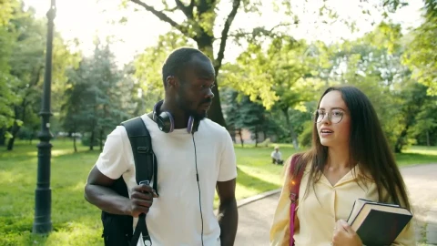 Stock Video Friends Chat While Walking Through Sunlit Park Live Wallpaper For PC - Free Live Wallpaper