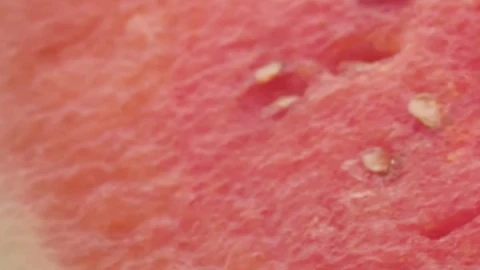 Stock Video Fresh Watermelon Cut Into Parts Live Wallpaper For PC - Free Live Wallpaper
