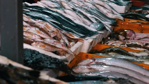 Stock Video Fresh Fish Merchandise In The Market Live Wallpaper For PC - Free Live Wallpaper