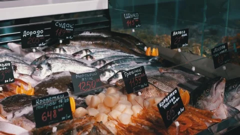 Stock Video Fresh Fish In The Counter Ready For Sale Live Wallpaper For PC - Free Live Wallpaper