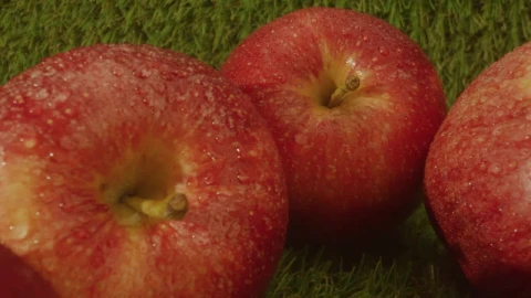 Stock Video Fresh Apples In A Row On A Natural Background Live Wallpaper For PC - Free Live Wallpaper