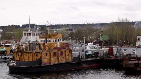Stock Video Freight Ships With A Crane Live Wallpaper For PC - Free Live Wallpaper