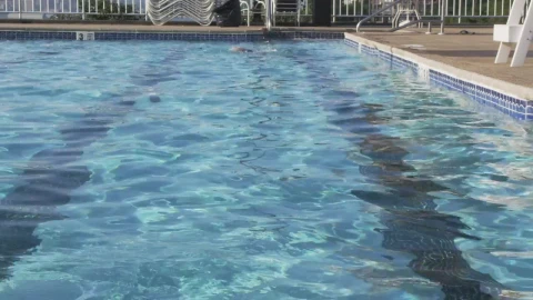 Stock Video Freestyle Swimming In A Pool Live Wallpaper For PC - Free Live Wallpaper