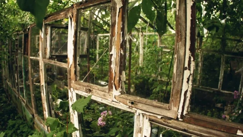 Stock Video Frame Of An Old Greenhouse Live Wallpaper For PC - Free Live Wallpaper