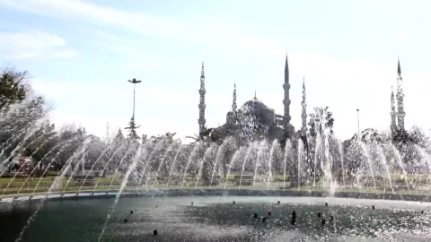 Stock Video Fountain In The City Time Lapse Live Wallpaper For PC - Free Live Wallpaper