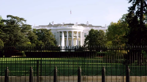 Stock Video Fountain At The White House Live Wallpaper For PC - Free Live Wallpaper