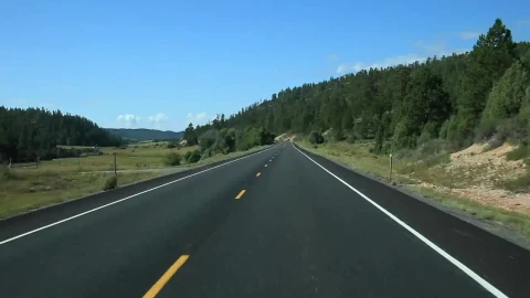 Stock Video Forests By The Road Live Wallpaper For PC - Free Live Wallpaper