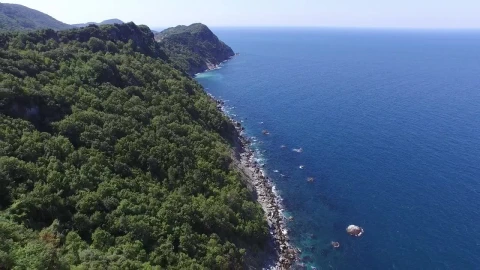 Stock Video Forested Mountains Cliffs And The Ocean Live Wallpaper For PC - Free Live Wallpaper