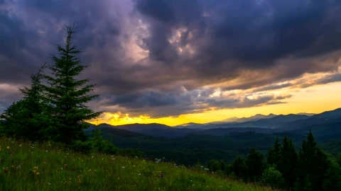 Stock Video Forest Landscape With Cloudy Sky Live Wallpaper For PC - Free Live Wallpaper