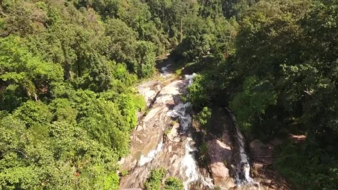 Stock Video Forest In Summer With A Waterfall Live Wallpaper For PC - Free Live Wallpaper