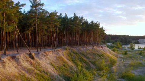 Stock Video Forest Full Of Trees Next To A Valley Live Wallpaper For PC - Free Live Wallpaper