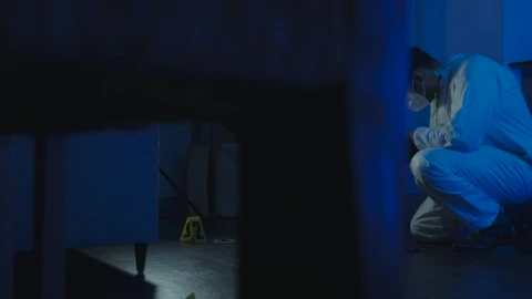 Stock Video Forensic Working At A Crime Scene Live Wallpaper For PC - Free Live Wallpaper
