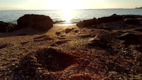 Stock Video Footprints In The Sand Live Wallpaper For PC - Free Live Wallpaper