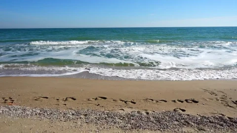 Stock Video Footprints Along The Shore Live Wallpaper For PC - Free Live Wallpaper