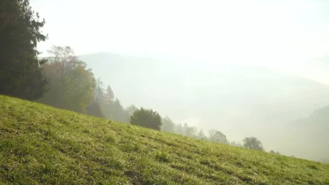 Stock Video Foggy Morning In The Mountains Live Wallpaper For PC - Free Live Wallpaper