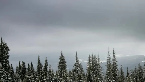 Stock Video Foggy Environment At Snowy Moutains Live Wallpaper For PC - Free Live Wallpaper